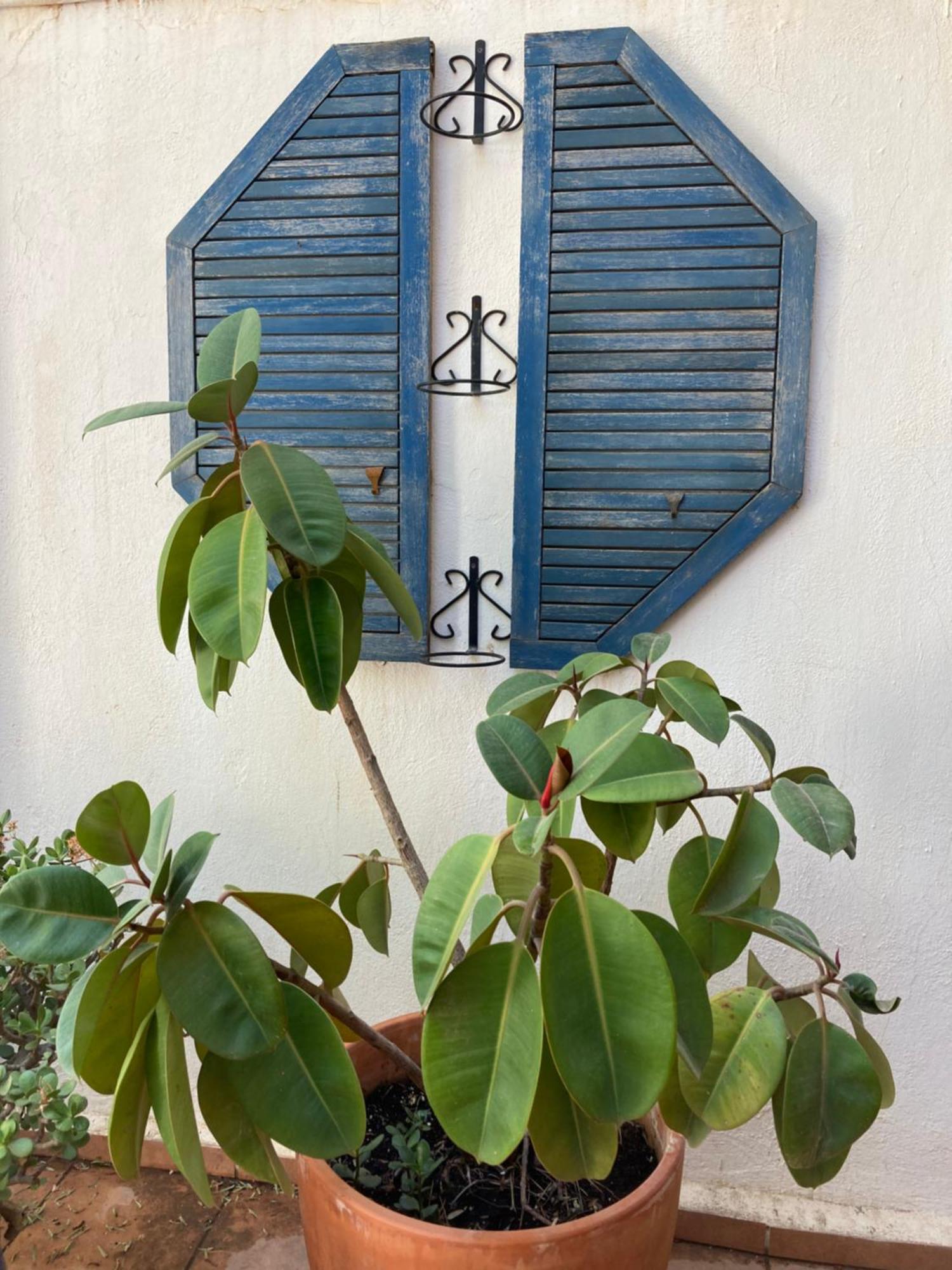 Apartmán Casa Coco No 11 Polopos Exteriér fotografie